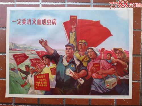 卡坦扎罗大学国际商务文凭证书